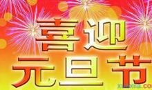 关于元旦的作文：快乐的元旦_500字