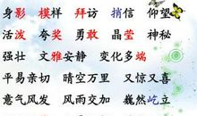四年级书信：致尊敬的老师_500字