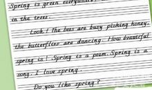 高二英语作文：Football Match_800字