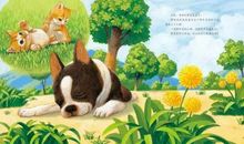 关于大自然的作文：感知自然需躬行_800字