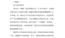 实习报告范文-室内设计师