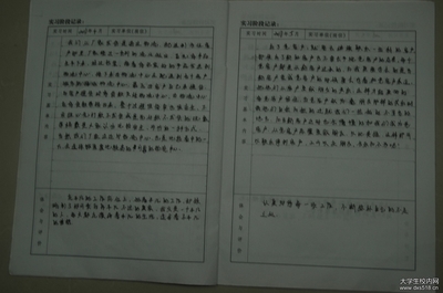 酒店人事部门实习报告模板