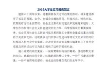 2016年大学教师实习报告范文