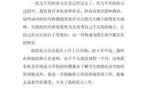 小学老师实习报告范文精编