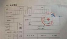 最新高级经济师工作总结报告精选