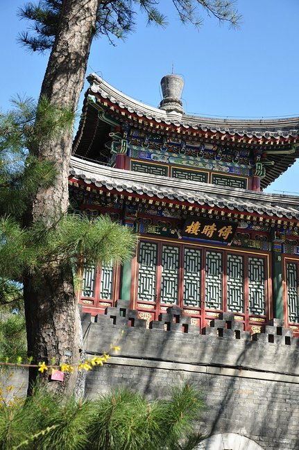 白石建造白塔_40个单词