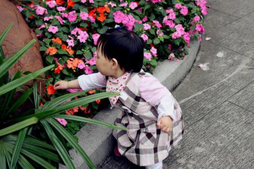 我不会摘花那么漂亮_40字