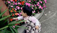 花儿好看我不摘_40字