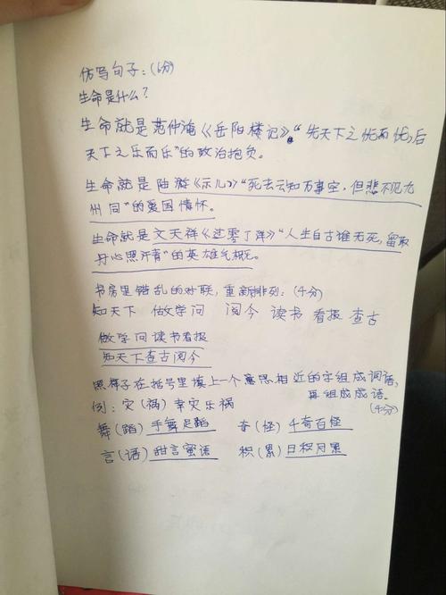 小生首个满分成绩：我有成功的经验_700字