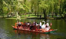 [春天来了]惜春_500字