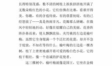 五年级看图作文：书迷一家_300字