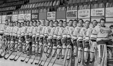 忆秦娥·少年梦_100字