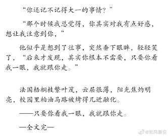 像风_100字