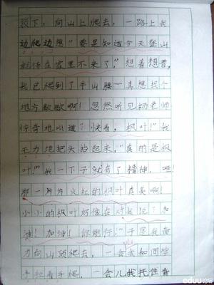 一年级的想象力作文：我有一个梦_250个单词
