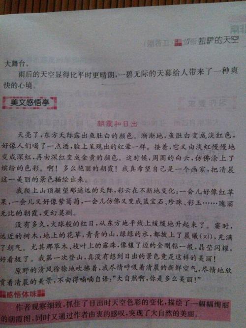 三年级的风景构成：我爱家乡的桥_500字