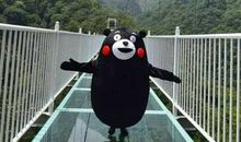 骄阳似火，莞尔依旧_500字