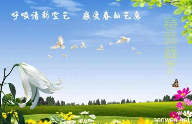 春天在这里_550字