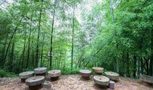 参观一景生态牧场_700字