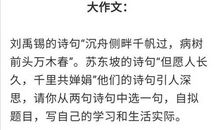 2020年云南（统考）中考语文作文题目：肩膀