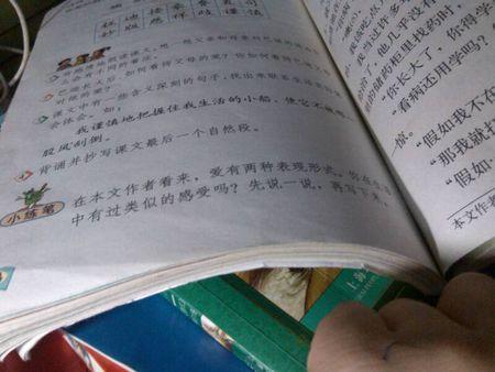 母爱_600字