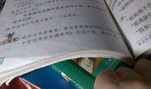 慈母情深_600字