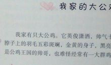 高一话题作文：团结（二）_650字