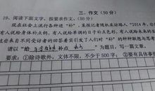 四年级日记：人无完人_750字