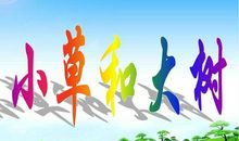 大树与小草_1000字