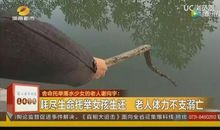 身边的“活雷锋”_800字