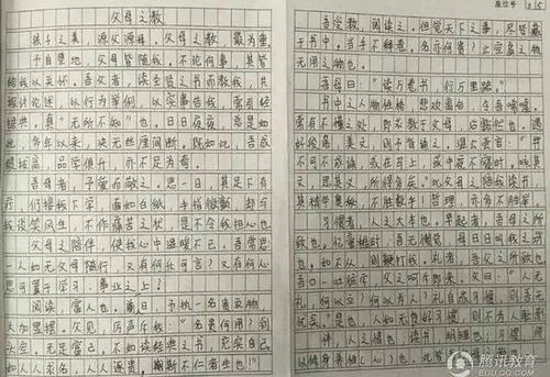 关于雷的构图：阳光明媚的_750个单词中的雷电