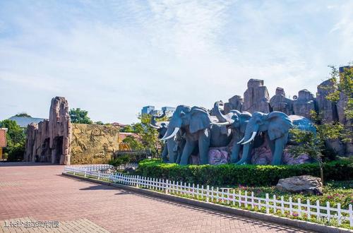 参观zoo_800字