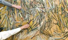 浓浓的画笔情_550字