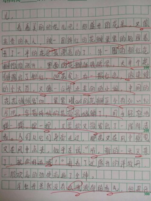 春天在这里：我最喜欢的季节在这里_200字