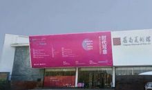 观《吃记忆的大雪球》有感_400字