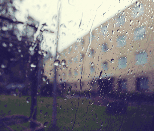 雨后_800字