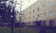 雨下了之后_800字