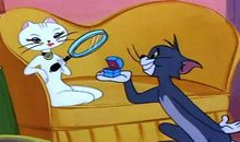 《猫和老鼠》观后感_350字