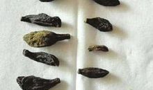 小小“老鼠屎”_500字