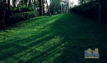 巷口深处的一米阳光_900字