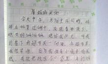 关于暑假的作文：摘葡萄_700字
