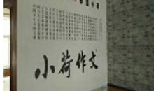 关于荷花的作文：再见了，小荷_900字