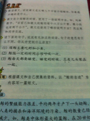 鲸的叙事_550个单词
