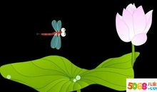 关于荷花的作文：荷，让我陶醉_550字