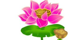 关于荷花的作文：我发现了荷叶的秘密_500字