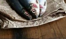 第一次洗菜_550字