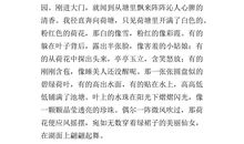 关于荷花的作文：荷叶伞_450字