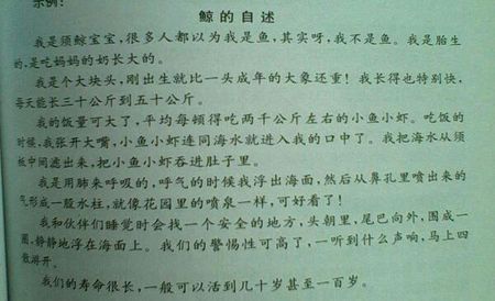 鲸鱼的叙事2_450字