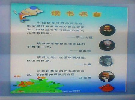 阅读行情：与Reading_550单词相关的著名行情