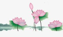 关于荷花的作文：我爱荷花_500字