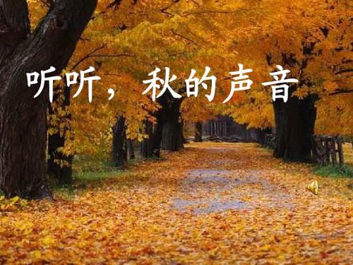 听，秋天的声音_150字